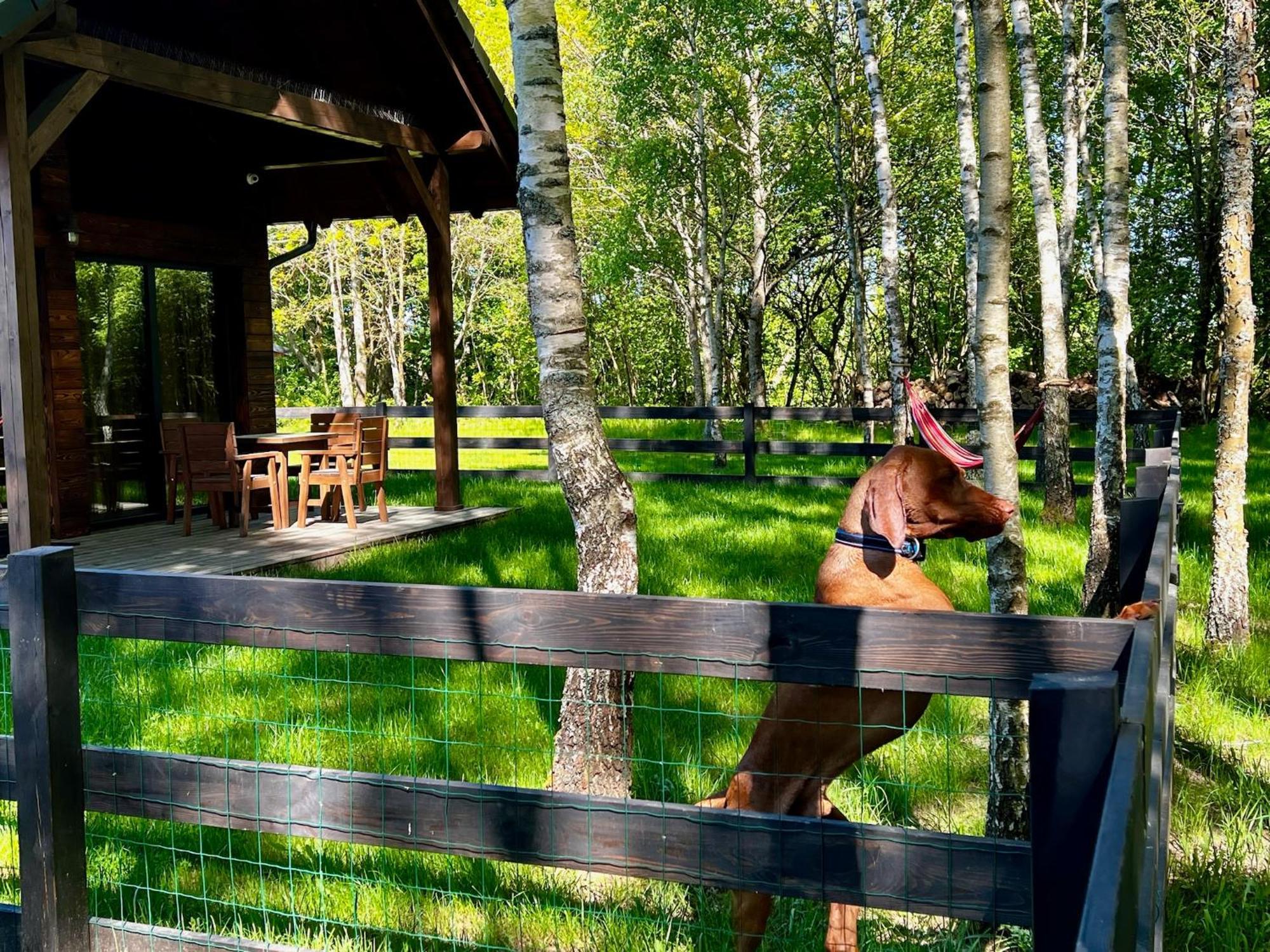 Kaszuby Camp Holiday home *